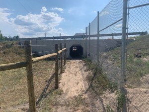 New Wildlife Crossing Under CR 557