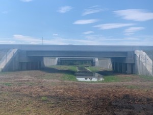 New Wildlife Crossing Under I-4