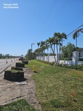 February 2025 Sod Placement