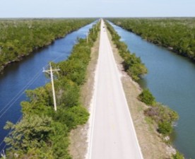 CR 29